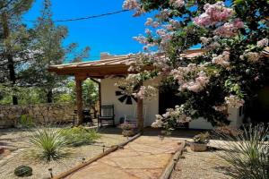 1 bed cute casita near NMSU, pet friendly Guest house, Las Cruces