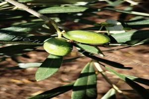 Apartment Lorusso touristischer Standort by Interhome, Andria