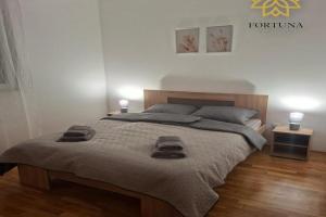 Apartman Fortuna Centar, Pozarevac