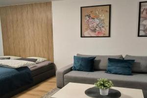 Huge 5room apartment in center of, Oulu