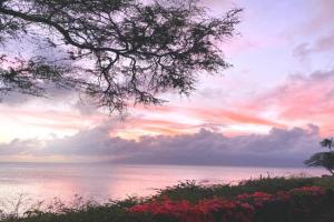 NEW KBM Resorts FREE CAR Napili Point 2 Bedroom Multi Unit Listing with Private Ocean view Oasis ML-3494, Kapalua