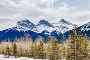 Cozy getaway for exploring and Banff Guest house, Canmore