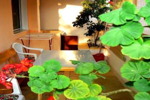 Apartment 7631b, Supetar