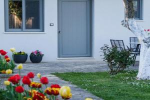 Allegro Home Stavraki Apartments, Ioannina