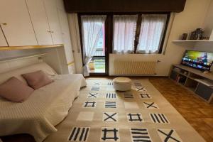 Comfortable Alpine Studio in Near Ski Slopes, Aprica