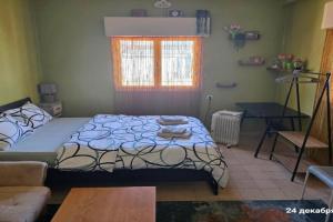 Comfy Studio, Haifa