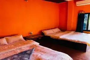 Busy Bee Guest House, Sauraha