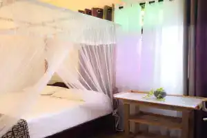 Kamiliya Dame Guest, Weligama