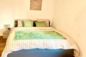 Charming apartment in Center, Nancy