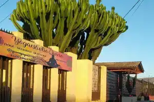 La Casa de los Cactus, La Serena