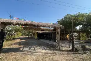Hostel Jungle Beats, Sauraha