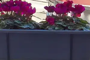 La Terrazza Apartment, Cosenza