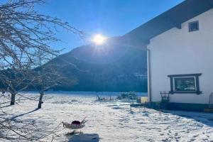 Whiteberg Apartment, Schruns