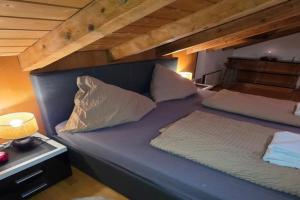 Apartment Alex Ski Parkplatz Winterurlaub, Dornbirn