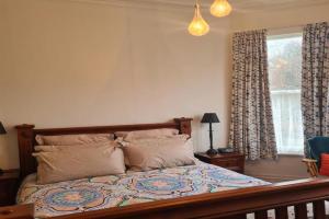 Warm and comfortable 2BR with SK and QB Apartments, Dunedin