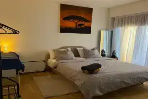 chambre chez habitant pied du lac Guest house, Geneva