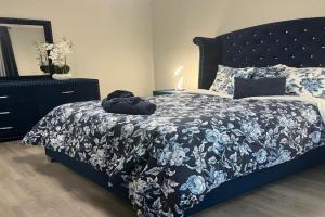 Skyview Studio, Lakeland