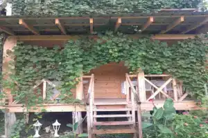 Riverside Cottage, Martvili