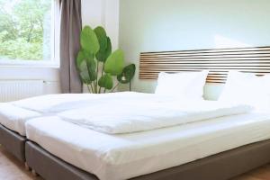 Havn Apartments in - 2BR, WIFI, Smart TV, Balkony, free parking, Halle an der Saale
