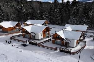 Snowwood Villa, Bakuriani