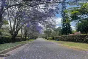 Arusha Njiro B&B Guest house, Arusha
