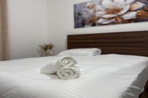 Cozy Room in the heart of Sharjah, Sharjah City