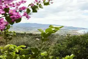 Tenuta la Selva Casa Pendio Cilento, Casal Velino