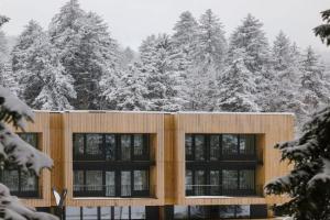 Kokhta Mitarbi Resort - studio in B3 404, Bakuriani
