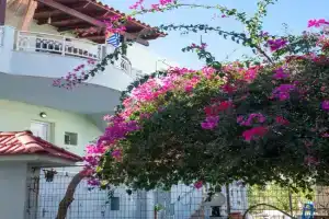 Tina's House, Karpathos Town