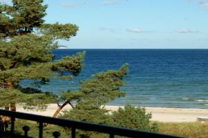Villa Stranddistel by Rujana, Binz