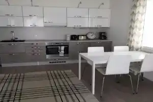 Central Apartment for 3 with Sauna, Kittila