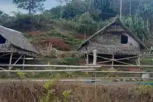 Khao Sok Moon Light Hill Camp, Khao Sok