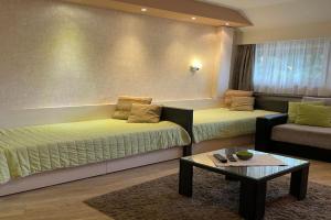 Apartment Brvenik Plus, Kopaonik