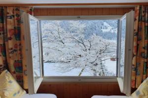 Tschuggen Apartment - No Kitchen, Grindelwald