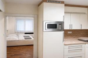 Apartmán centrum, Brno