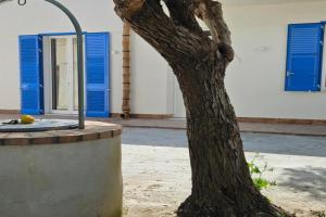 Sunsets over the Stagnone - Two-room apartment 150m from the sea, Birgi Vecchi