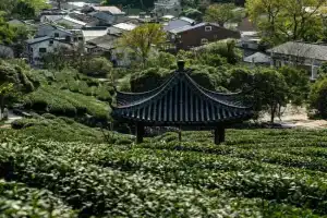 WuTiaXinShe Guesthouse (West Lake Branch), Hangzhou