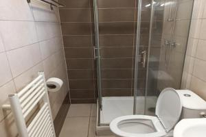 Apartmán v centru města, Brno