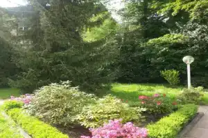 Apartment near Villa Turgenev, Baden-Baden