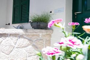 Apartments Petrinic Crnogaj, Baska