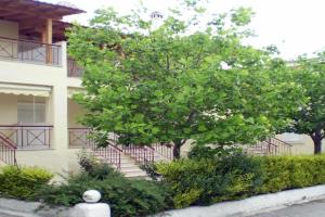 Siviri Rental Houses, Siviri