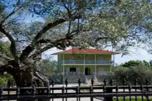 Olivegrove House, Vourvourou
