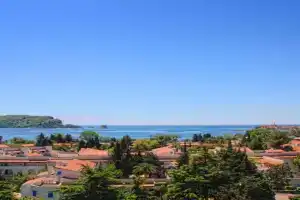 Apartment Obradovic, Budva
