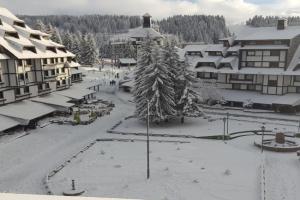 Apartments Mozaik, Kopaonik