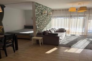 Jaukūs apartamentai Free parking, Vilnius