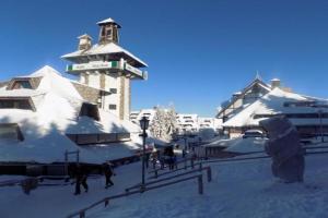 Apartment Ski Star Konaci, Kopaonik