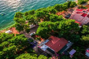 Apartments by the sea Zaostrog, Makarska - 12951, Podaca