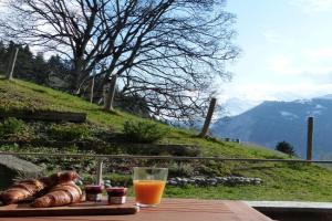 Roossi-Huus 2 Apartments, Wengen