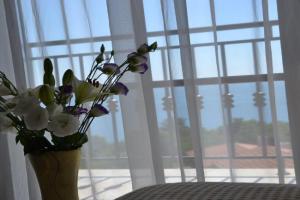 Apartment on the Cliff, Obzor