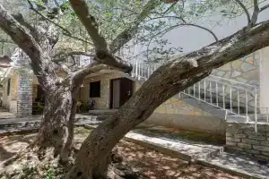 Apartment Maslina, Vodice